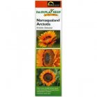 Traidcraft Namaqualand Arctotis - Fair Trade Seeds