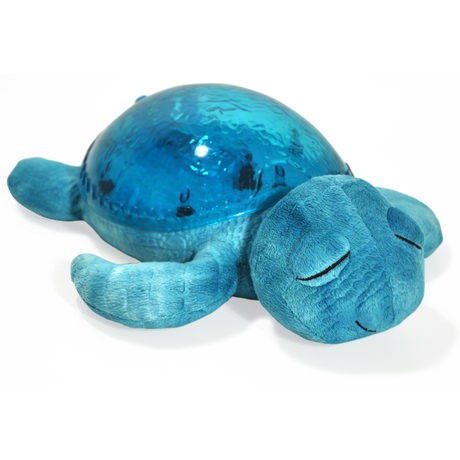 Tranquil Turtle - Aqua