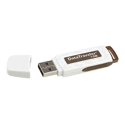 Transand Transend DataTraveler USB Flash Drive 1 GB