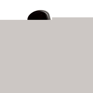 16GB JetFlash 600 USB 2.0 Flash Drive