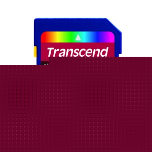 16GB SD Card (SDHC) - Class 10 / UHS-1