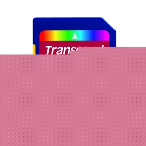 8GB SD Card (SDHC) - Class 10 / UHS-1