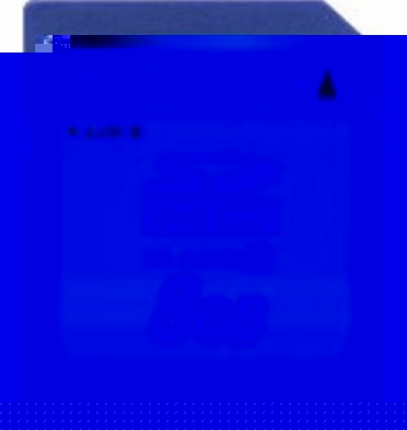 Flash memory card - 8 GB - Class 6 - SDHC