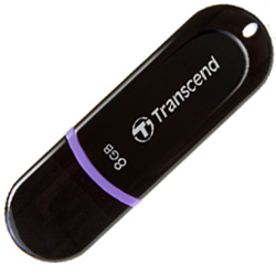 Transcend JetFlash 300 USB Flash Drive - 8GB