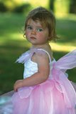 Rosebud Fairy Girls Fancy Dress outfit 3-5 years