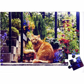 treatme.net 35 Piece Photo Jigsaw
