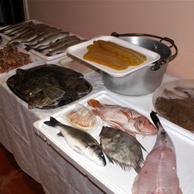 treatme.net Focus on Fish