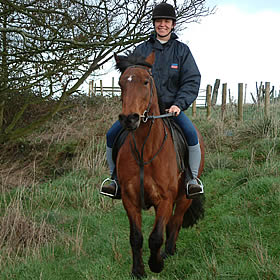 treatme.net Historic Horse Rides for 2