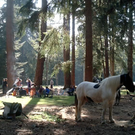 treatme.net Horseriding Break for Four