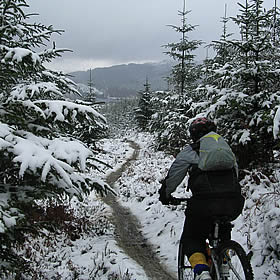 treatme.net Mountain Biking Half Day Experience