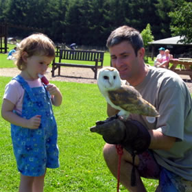 treatme.net Owl Encounter