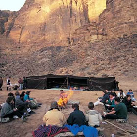 treatme.net Rose Red City for 2