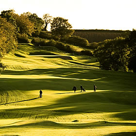 treatme.net Round Of Golf for 2