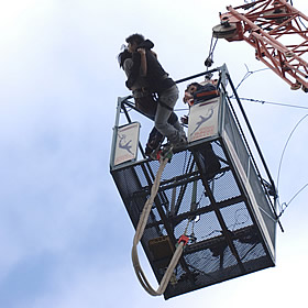 Tandem Bungee Jumping