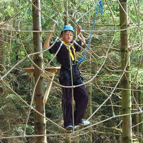 treatme.net Tree Top Adventure