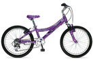 Trek Mountain Lion 60 Girls 2006 Kids Bike