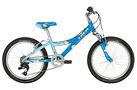 Trek MT 60 Girls 2010 Kids Bike (20 Inch