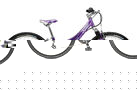 Trek MT Track 220 Girls 2008 Kids Bike