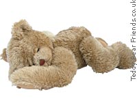 Snoozer Sleeping Teddy Bear