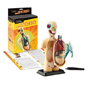 National Geographic Anatomy Kit Torso