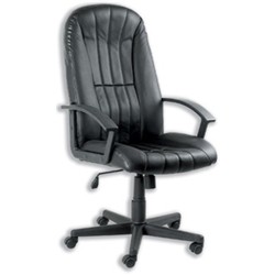Trexus Managers Armchair High Back H700mm Seat