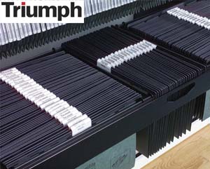 Triumph vertical filing cradle