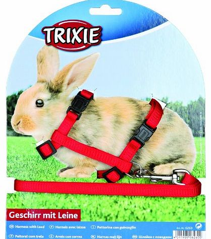 Plain Rabbit Walking Harness & Lead Set - Pet, Toys, Accessories, Outdoor
