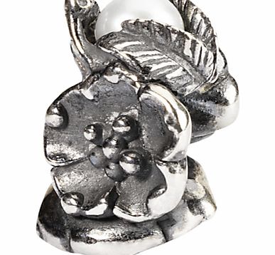 Trollbeads Sterling Silver Buckthorn of May with