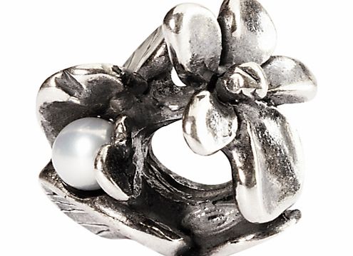 Trollbeads Sterling Silver Violet of February