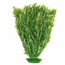 D&eacute;cor Hygrophilla 50 cm