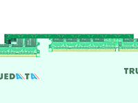 TRUEDATA Memory - 2GB DDR2 PC2-6400 800MHz Unbuffered 240-pin DIMM