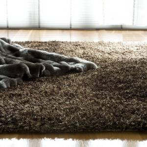 Trueshopping Whisper Chocolate Shaggy Rug