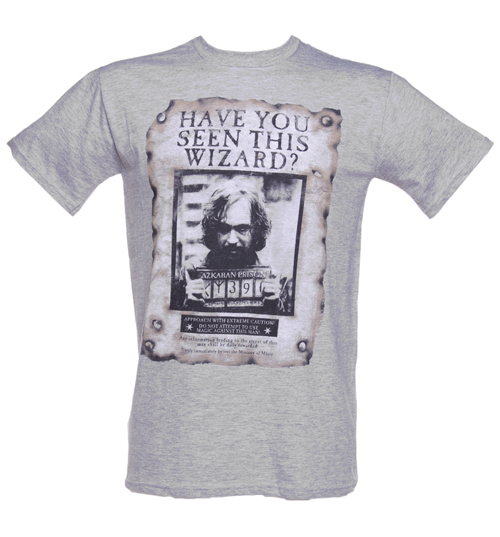 TruffleShuffle Mens Have You Seen This Wizard Harry Potter