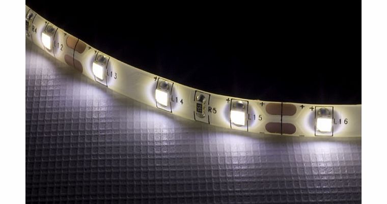 TruOpto 5m Warm White LED Strip 12V 4.8W per Meter 8mm