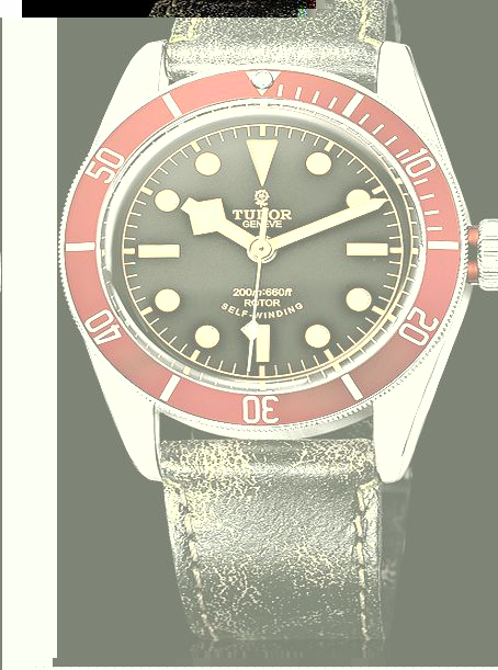 Heritage Black Bay Mens Watch M79220R-0002