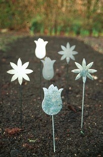 and Daisy bulb and seed markers