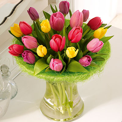 Tulip Perfect Gift