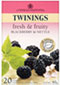 Twinings Wild Blackberry and Nettle Tea Bags (20