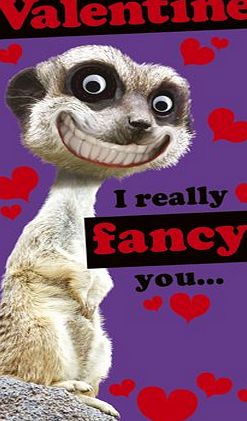Twisted Whiskers Meerkat I Fancy You Valentines Day Card Wobbly Eyes Valentine Greeting Cards
