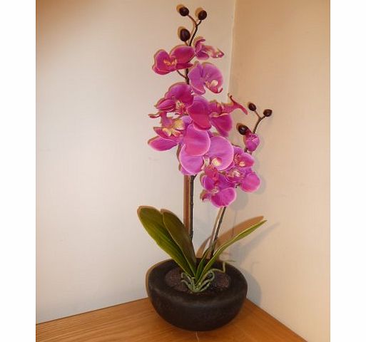 UK-Gardens Large Pink Orchid Artificial Potted Plant 46cm Tall With Silk Flowers In a Ceramic Round Black Planter Pot - House Office or Indoor Use - Stunning Houseplant