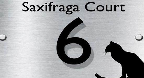 UK House Signs Designer House Number Plaques (CATS WHISKERS)