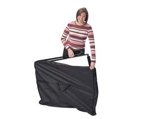 Ultimate easel carrying case