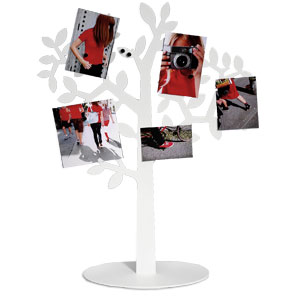 Umbra White Laurel Desk Tree Photo Frame