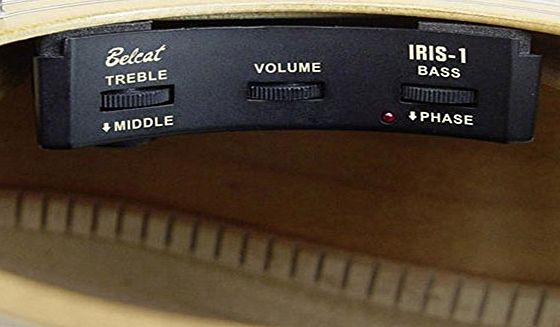 Unbekannt Belcat Soundhole Pickup Preamp Iris 1