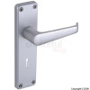 Union Ambassador Anodised Silver Mortice Door
