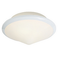 029 25WH - White Flush Light
