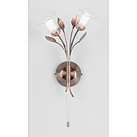 0407 2CO - Copper Wall Light