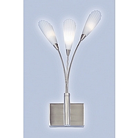 Unbranded 066 WBSC - Satin Chrome Wall Light