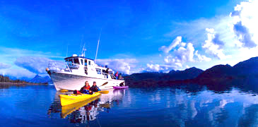 Unbranded 1/2 or 1 Day Sea Kayak Tour