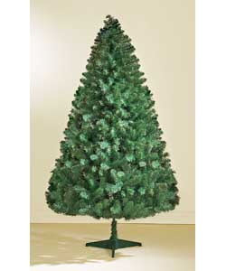 Unbranded 1.8m / 6ft Canadian Pine Tree